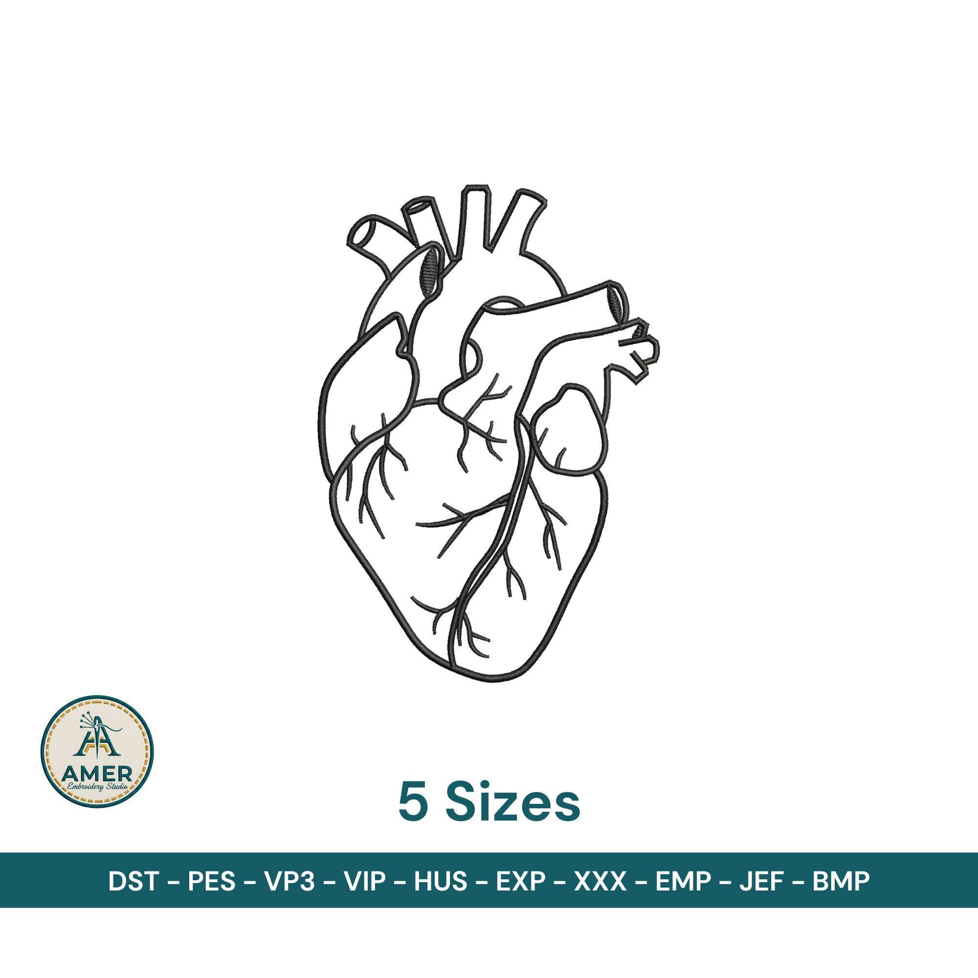 size chart for Anatomical Heart Machine Embroidery Design